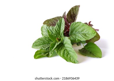 Leaves Of Green And Red Amaranth On A White Background. Ingredients For Cooking Recipes And Dishes. Harvest Of Herbs And Plants.