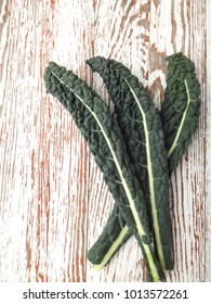 The Leaves Are Green Tuscan Kale
