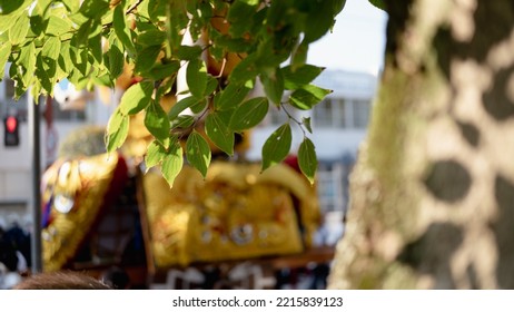 Leaves Of Hardwoods With The Mikoshi Of The Festival