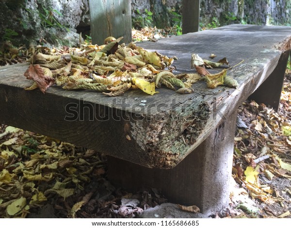 Leaves On Bench Stock Photo Edit Now 1165686685