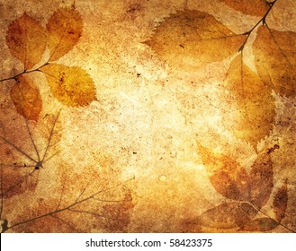 leaves on an old paper - Powered by Shutterstock