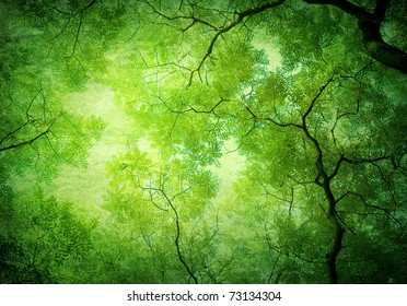 leaves on an old paper - Powered by Shutterstock