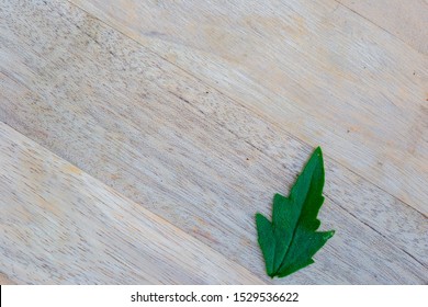 Leaves On The Wood Floor Taken From Above