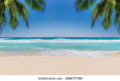 The leaves of palm trees on Sunny tropical beach.  Summer vacation and tropical beach background concept.  - Shutterstock ID 1888757980