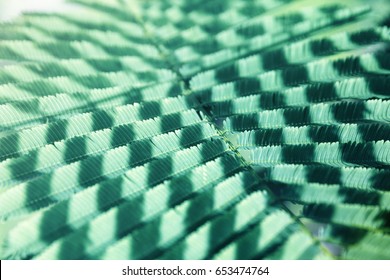 leaves pattern