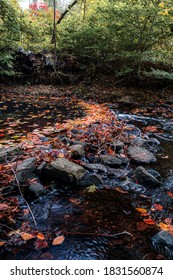 Leaves In The Pocantico River In Rockefeller State Park In Autumn