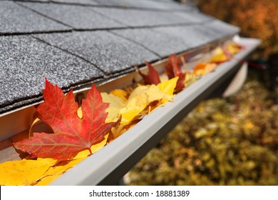 Leaves In A Rain Gutter