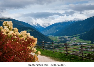 Leaves in red autum colors and white hydrangea in front of Antholz Valley (germ. Antholzer Tal, it. Valle di Anterselva) against blue sky with clouds