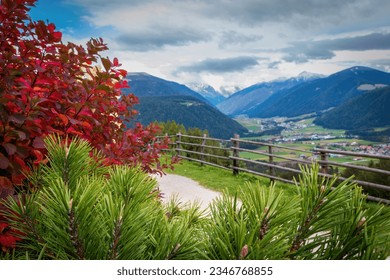 Leaves in red autum colors and white hydrangea in front of Antholz Valley (germ. Antholzer Tal, it. Valle di Anterselva) against blue sky with clouds