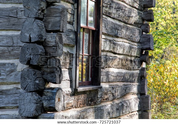 Leaves Reflect Off Window Log Cabin Stock Photo Edit Now 725721037