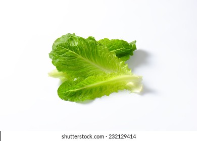 Romaine Lettuce Leaves Images Stock Photos Vectors Shutterstock