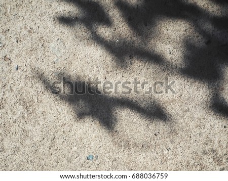 Similar – Image, Stock Photo Shadow of the Tree Summer