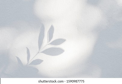 Leaves shadow background. Natural leaves tree branch shadows and sunlight dappled on white concrete wall texture for background wallpaper and any design - Shutterstock ID 1590987775