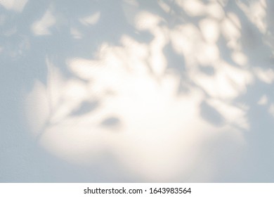 Leaves shadow and tree branch background.  Natural leaves tree branch shadows and sunlight dappled on white concrete wall texture for background wallpaper and any design