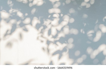 Leaves Shadow And Tree Branch Background.  Natural Leaves Tree Branch Dark Shadow And Light From Sunlight Dappled On White Concrete Wall Texture For Background Wallpaper And Any Design
