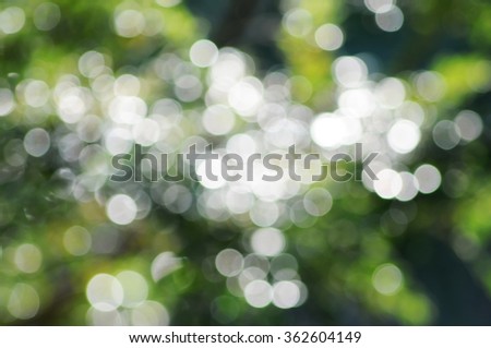 leaves in soft focus for texture background,blur