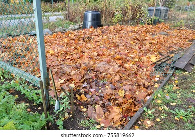 Leaves Are Used To Cover A Small Garden Plot And Protect The Plants From Winter Frost. 