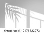 Leaves and window pane shadow overlay effect on white background