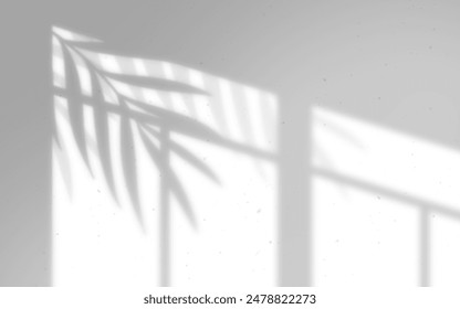 Leaves and window pane shadow overlay effect on white background