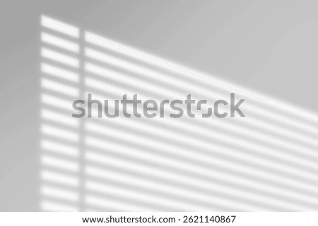 Leaves and window pane shadow overlay effect on white background