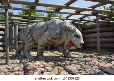 Leba, Poland - July 23, 2012: Sabre-toothed Tiger (Smilodon Fatalis). Model Of Smilodon In Jurassic Park. 