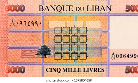 Lebanese Cedar, Portrait from Lebanon 5000 Livres 2001 Banknotes.