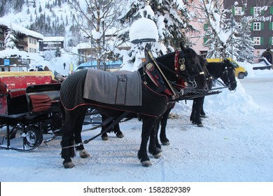 Lech, Austria - 01 16 2019: Horeses In Lech Am Arlberg Ski Resort