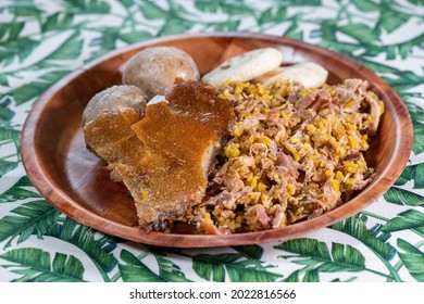 Lechona With Rice, Arepa And Potato On A White Plate And A Background With Plants.