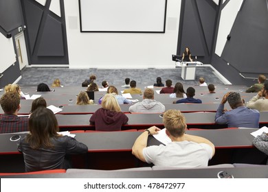 Lecture At University Lecture Theatre, Audience POV