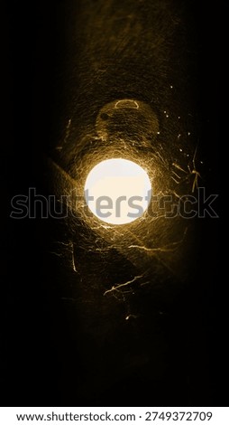 A led bulb is covered with cob web