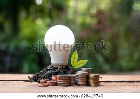  LED bulb with growing plant - Concept of saving energy