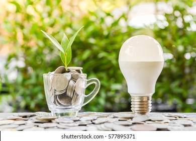 LED bulb with growing plant in the glass and sun light - Concept of saving energy