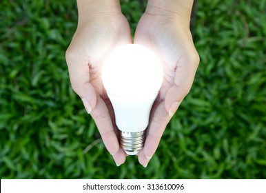 LED bulb with lighting in the human hand with green grass background