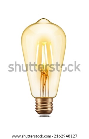 LED filament tungsten Edison vintage light bulb, isolated on white background
