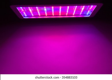 LED Grow Light Copy-space Background