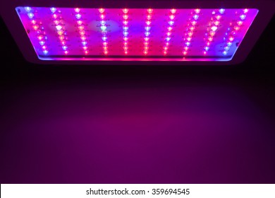 LED Grow Light Copy-space Background