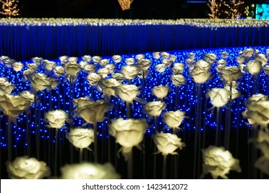 Led Light Rose Garden Tokyo Mega Stock Photo Edit Now