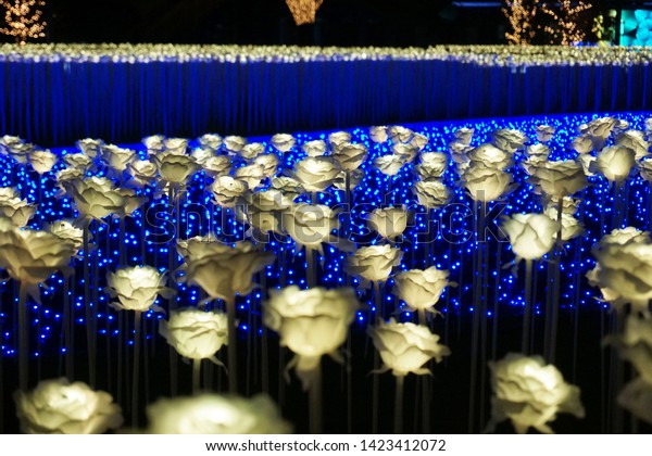 Led Light Rose Garden Tokyo Mega Parks Outdoor Stock Image