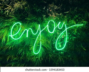 LED Sign Enjoy. Live Neon Sign On The Leaves Wall Background.