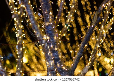 2,288 String Led Light Outdoor Images, Stock Photos & Vectors ...