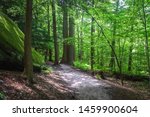 Ledges Trail in Cuyahoga Valley National Park in Ohio