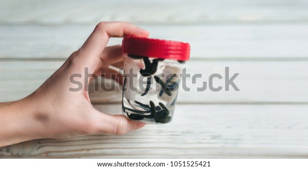 Leeches in a small jar. Hirudotherapy.\
Self-medication.\
Ethnoscience.