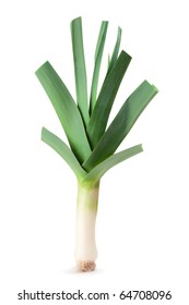 Leek Isolated On A White Background