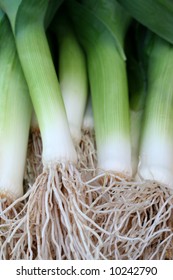 2,276 Leaks vegetable Images, Stock Photos & Vectors | Shutterstock