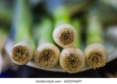 Leeks On Display At The Iowa State Fair