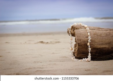 Left Behind On The Beach