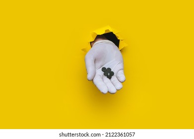 A Left Doctor's Hand In A White Medical Glove Holds A Handful Of Activated Carbon Tablets. Torn Hole In Yellow Paper. Indigestion Treatment Concept. Copy Space.