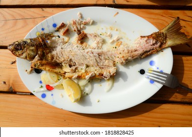 Leftover Food And Fish Bones On Plate. Dinner Leftovers On A Table. Gnawed Fish Bones After Lunch. Grilled Fresh Fish. Remains Of Food On A Plate.