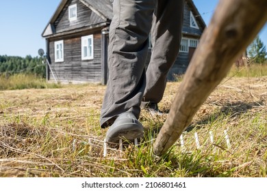 Leg of a careless, inattentive man steps on a rake, which can lead to injury, against the backdrop of a village house and yard, 
