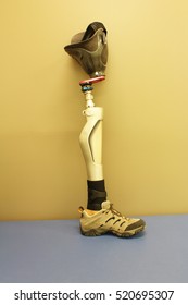 9,273 Prosthetic legs Images, Stock Photos & Vectors | Shutterstock